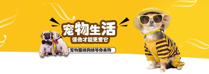 管家婆中特王中王